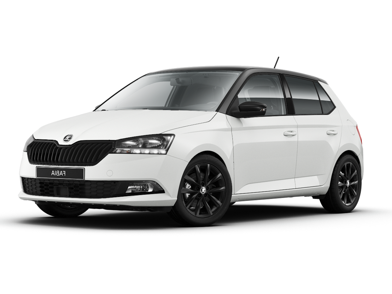 fabia 2.png